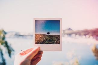 beautiful-bright-hand-1252983 beautiful-bright-hand-1252983