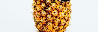 birthday-celebrate-food-1071878