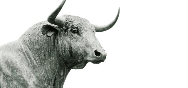 bull-market-no-bear